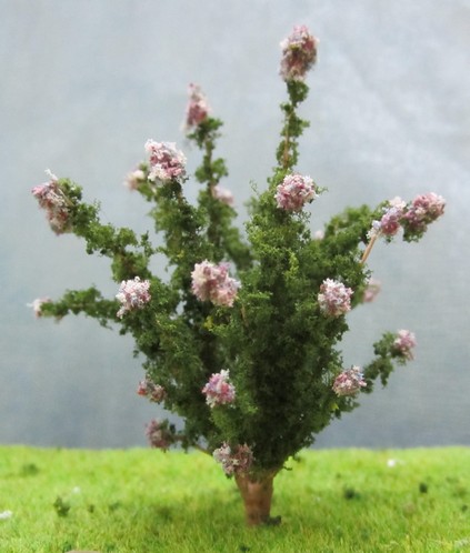 Buddleia2s